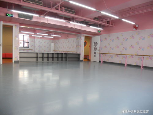 室內(nèi)球場地面鋪什么好